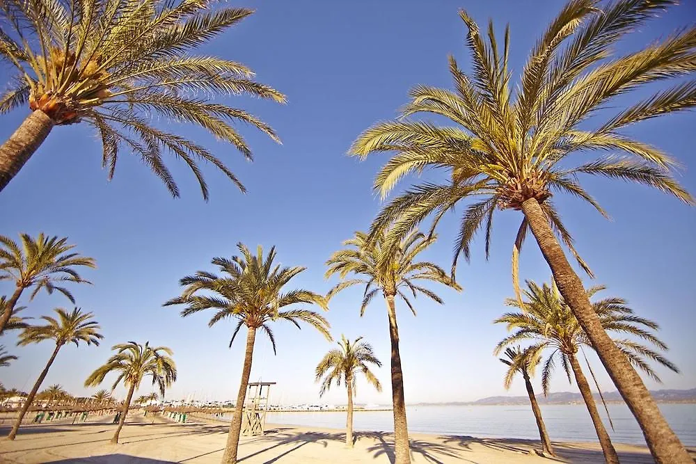 Hotel Mll Caribbean Bay El Arenal   El Arenal (Mallorca)
